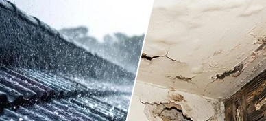 Dehumidifiers and air movers water restoration