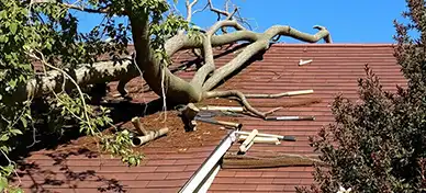 Fallen tree roof damage removal Glen Burnie MD