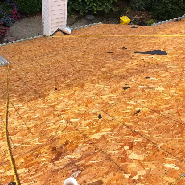 Roofing Project Edgewater Maryland