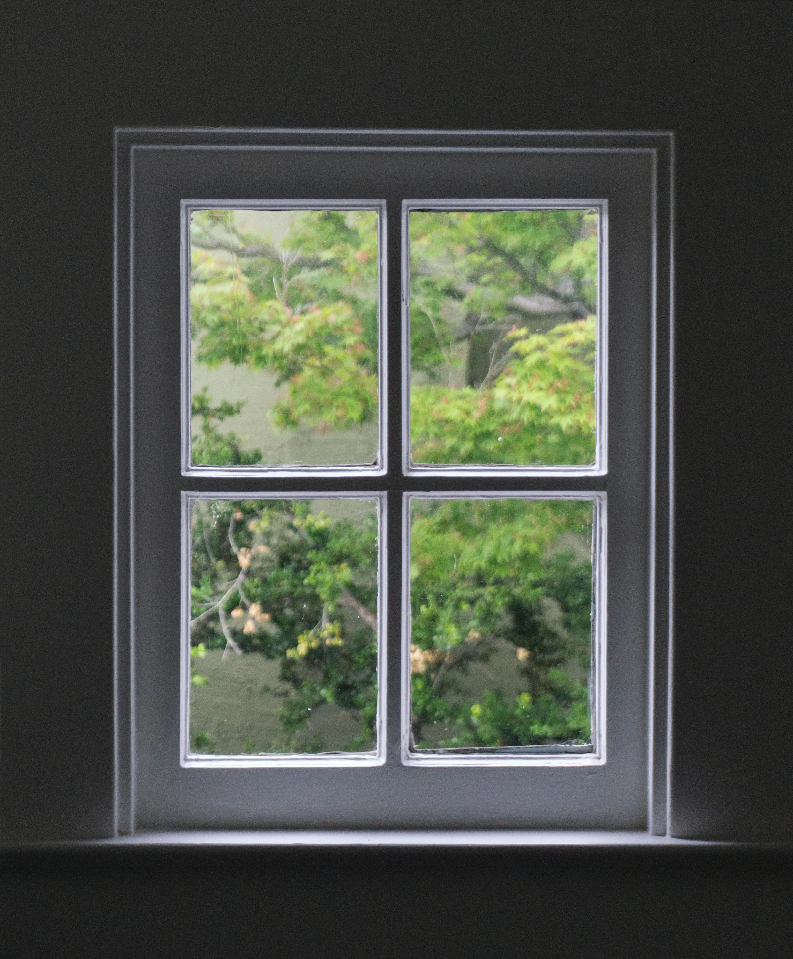 Casement and Picture Windows